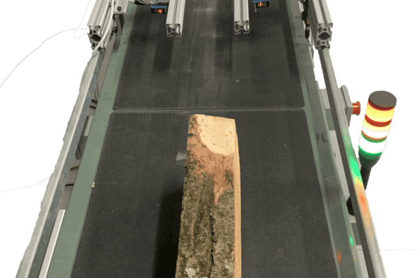 Log on conveyor passing through laser measurement system
