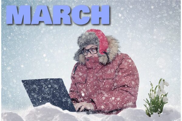 Man wearing a coat, sitting in the snow working on his laptop visibly cold. There is a flower trying to bloom next to him