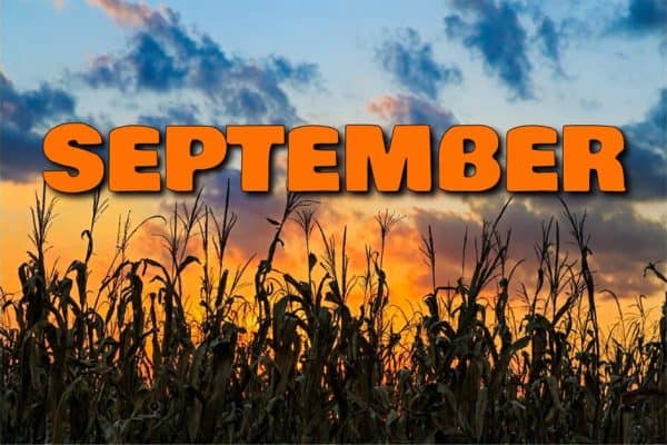 Sept. 2024 Newsletter Sept. 2024 Newsletter